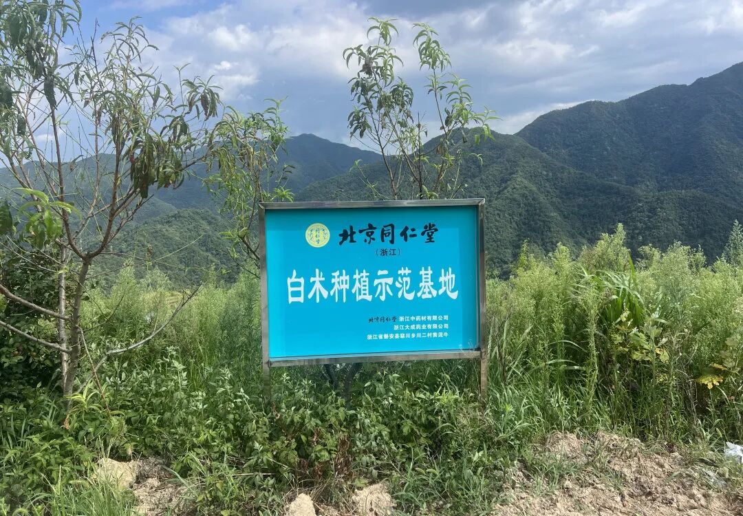 服务︱酷暑走访探新路 助残就业促共富——浙江代表处残疾人创业就业项目委赴磐安、永康开展专题调研